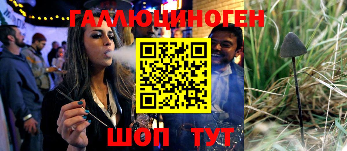 Псилоцибиновые грибы мухоморы  Вход с VPN  Мурино 