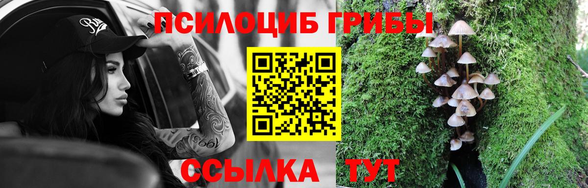 Галлюциногенные грибы GOLDEN TEACHER Мурино